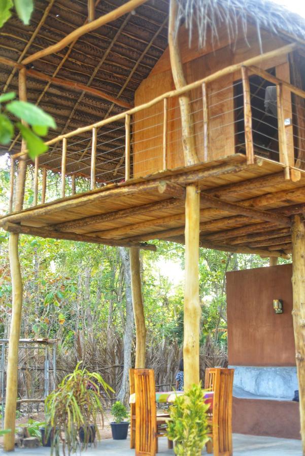 Pidurangala View Treehouse Apartment สิกิริยา ภายนอก รูปภาพ