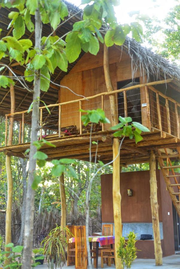 Pidurangala View Treehouse Apartment สิกิริยา ภายนอก รูปภาพ
