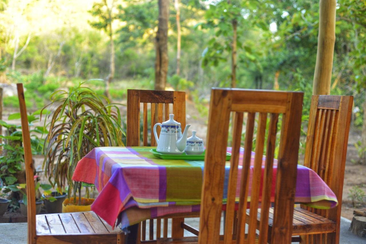 Pidurangala View Treehouse Apartment สิกิริยา ภายนอก รูปภาพ