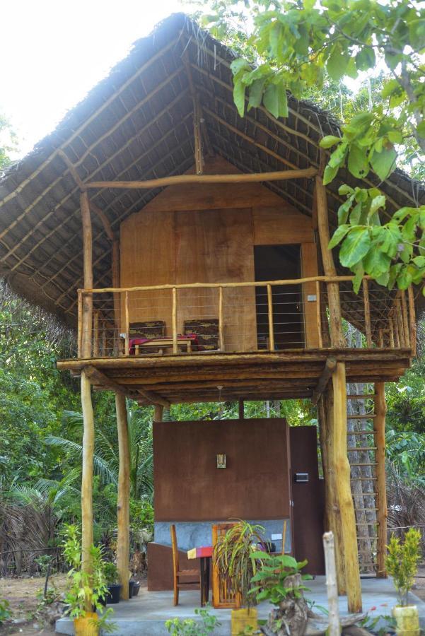 Pidurangala View Treehouse Apartment สิกิริยา ภายนอก รูปภาพ
