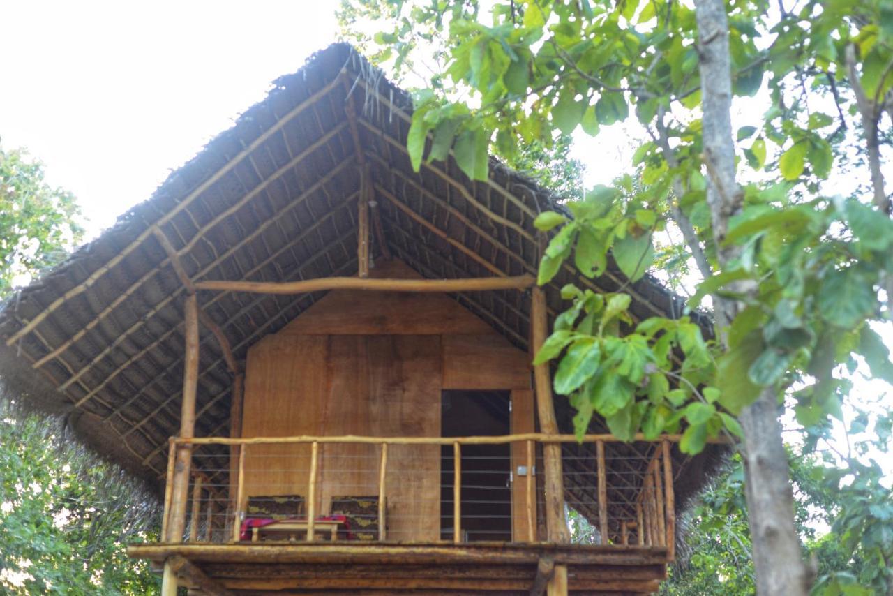 Pidurangala View Treehouse Apartment สิกิริยา ภายนอก รูปภาพ