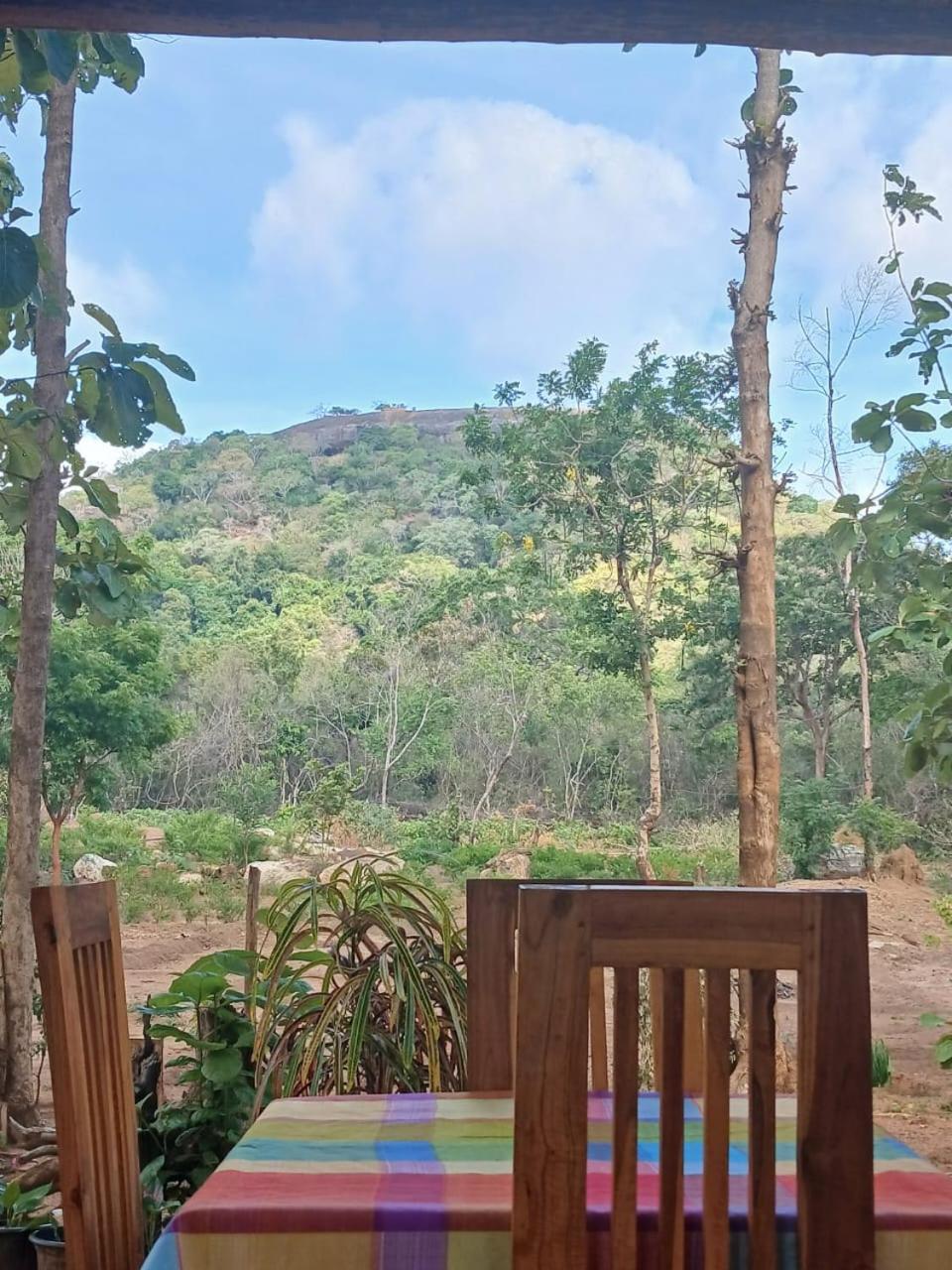 Pidurangala View Treehouse Apartment สิกิริยา ภายนอก รูปภาพ