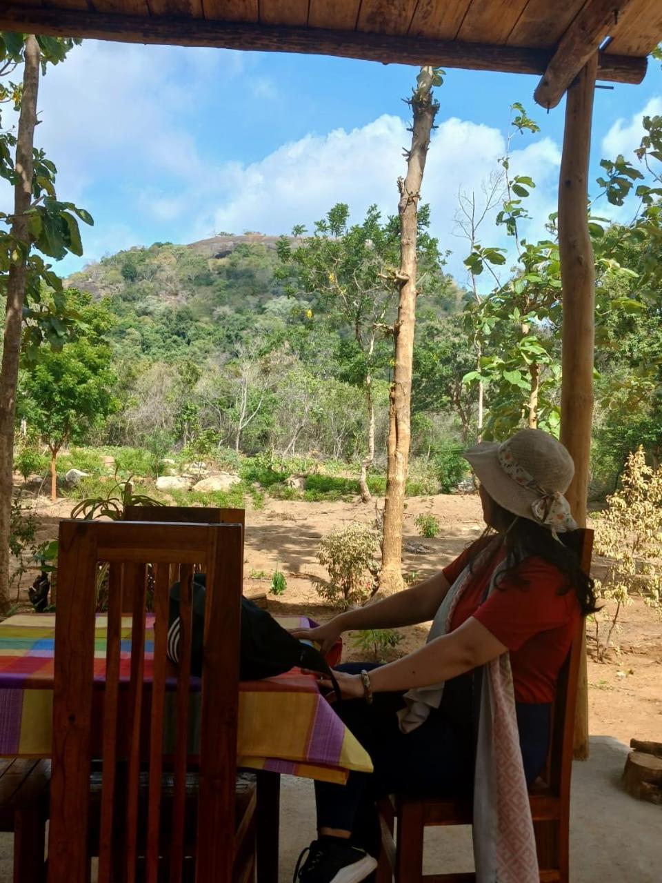 Pidurangala View Treehouse Apartment สิกิริยา ภายนอก รูปภาพ