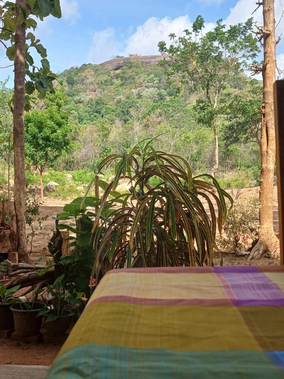 Pidurangala View Treehouse Apartment สิกิริยา ภายนอก รูปภาพ