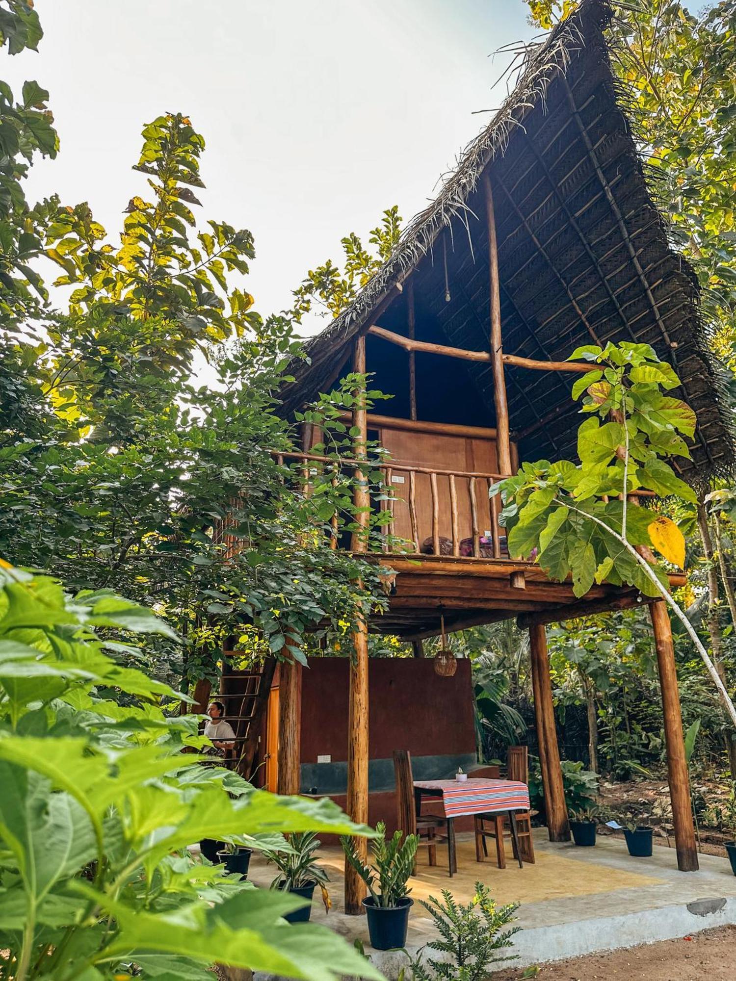 Pidurangala View Treehouse Apartment สิกิริยา ภายนอก รูปภาพ