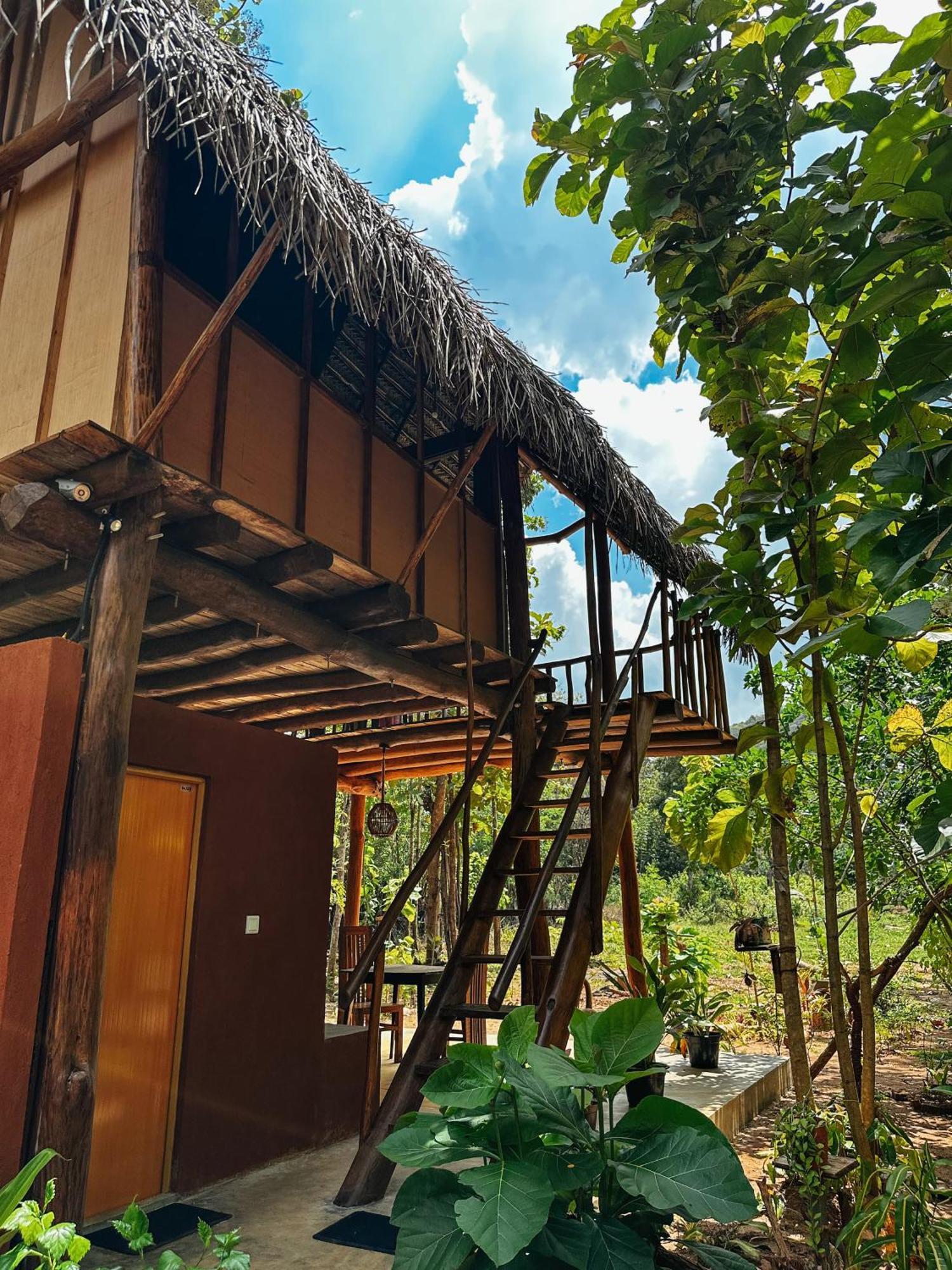 Pidurangala View Treehouse Apartment สิกิริยา ภายนอก รูปภาพ