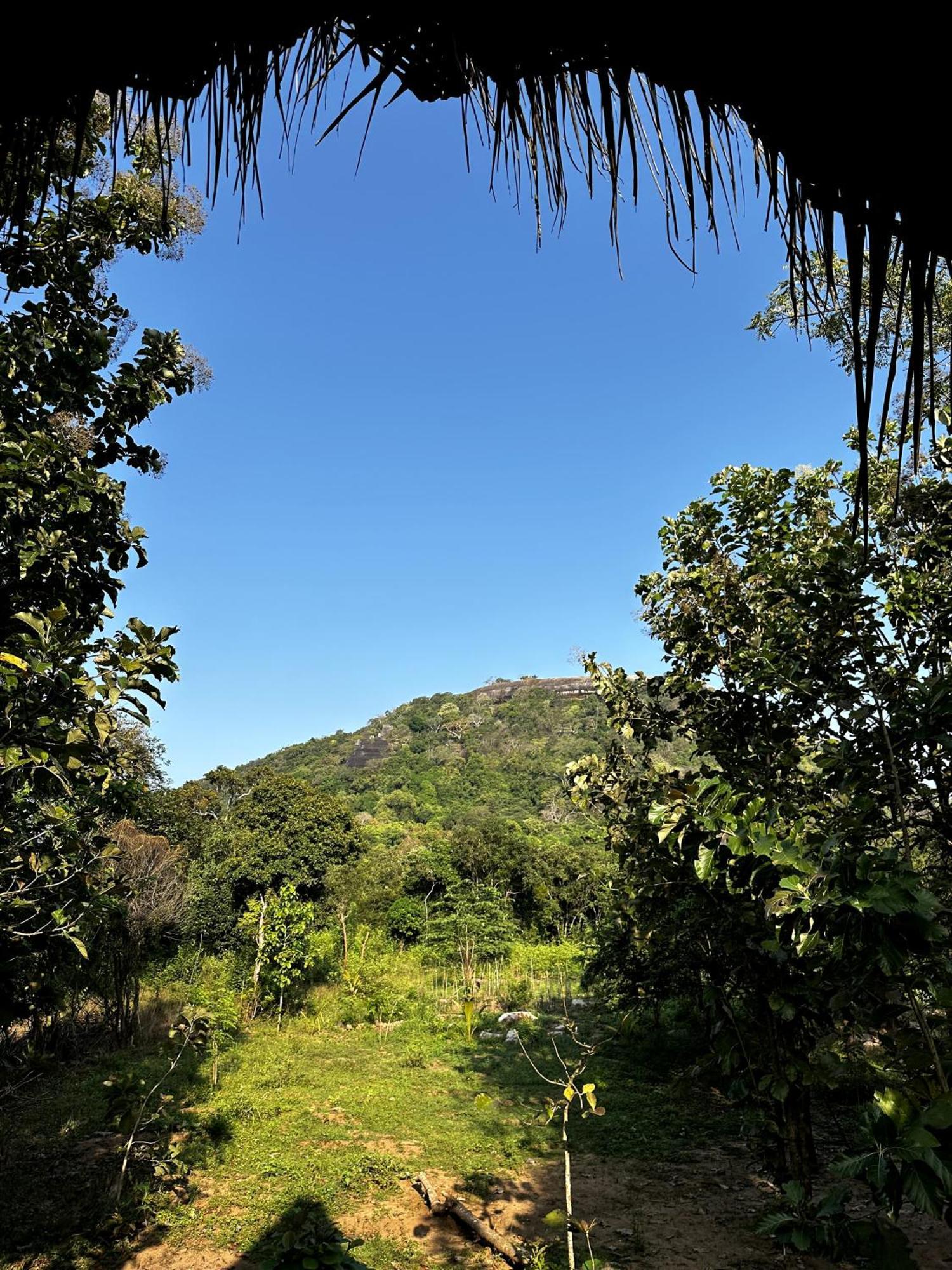 Pidurangala View Treehouse Apartment สิกิริยา ภายนอก รูปภาพ