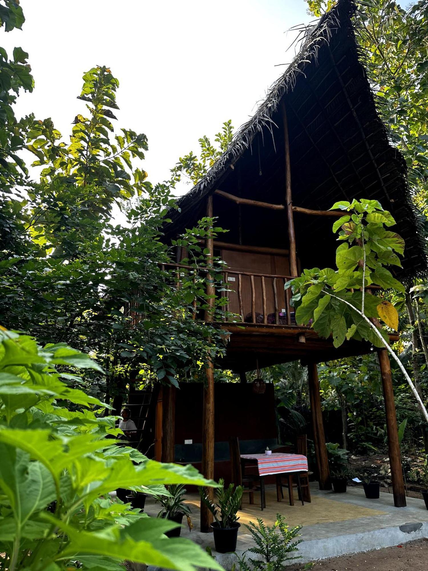 Pidurangala View Treehouse Apartment สิกิริยา ภายนอก รูปภาพ