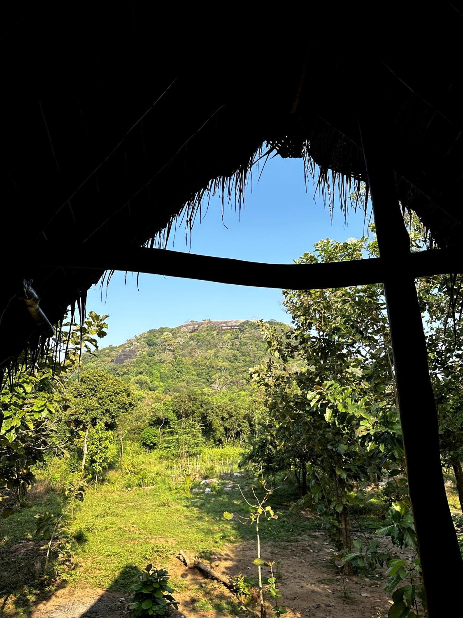 Pidurangala View Treehouse Apartment สิกิริยา ภายนอก รูปภาพ