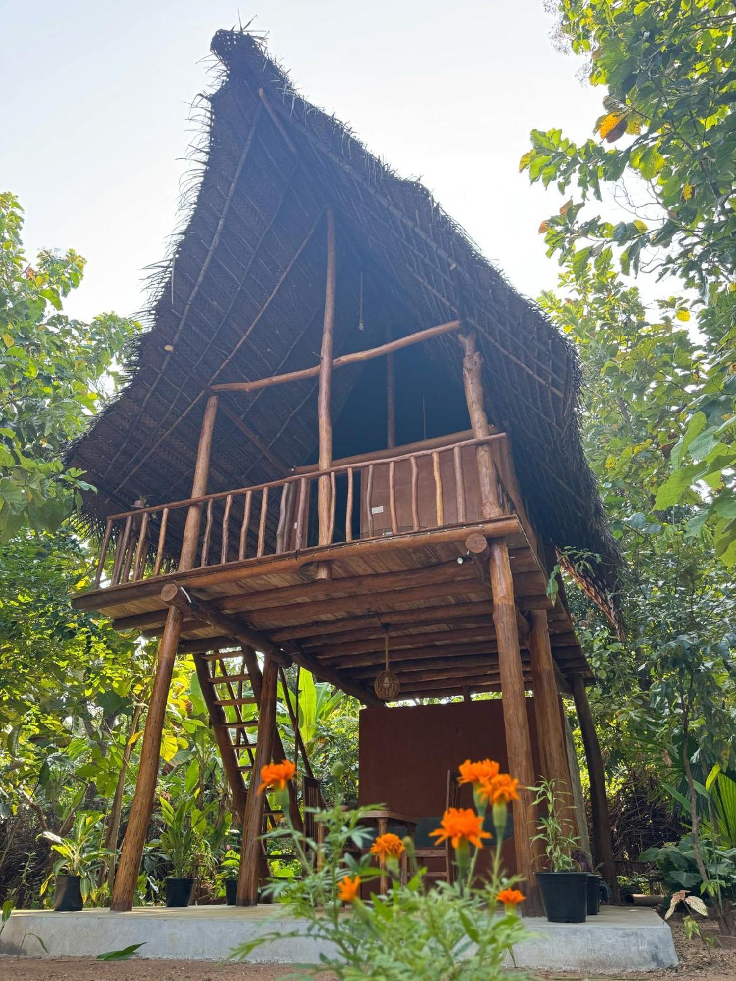 Pidurangala View Treehouse Apartment สิกิริยา ภายนอก รูปภาพ