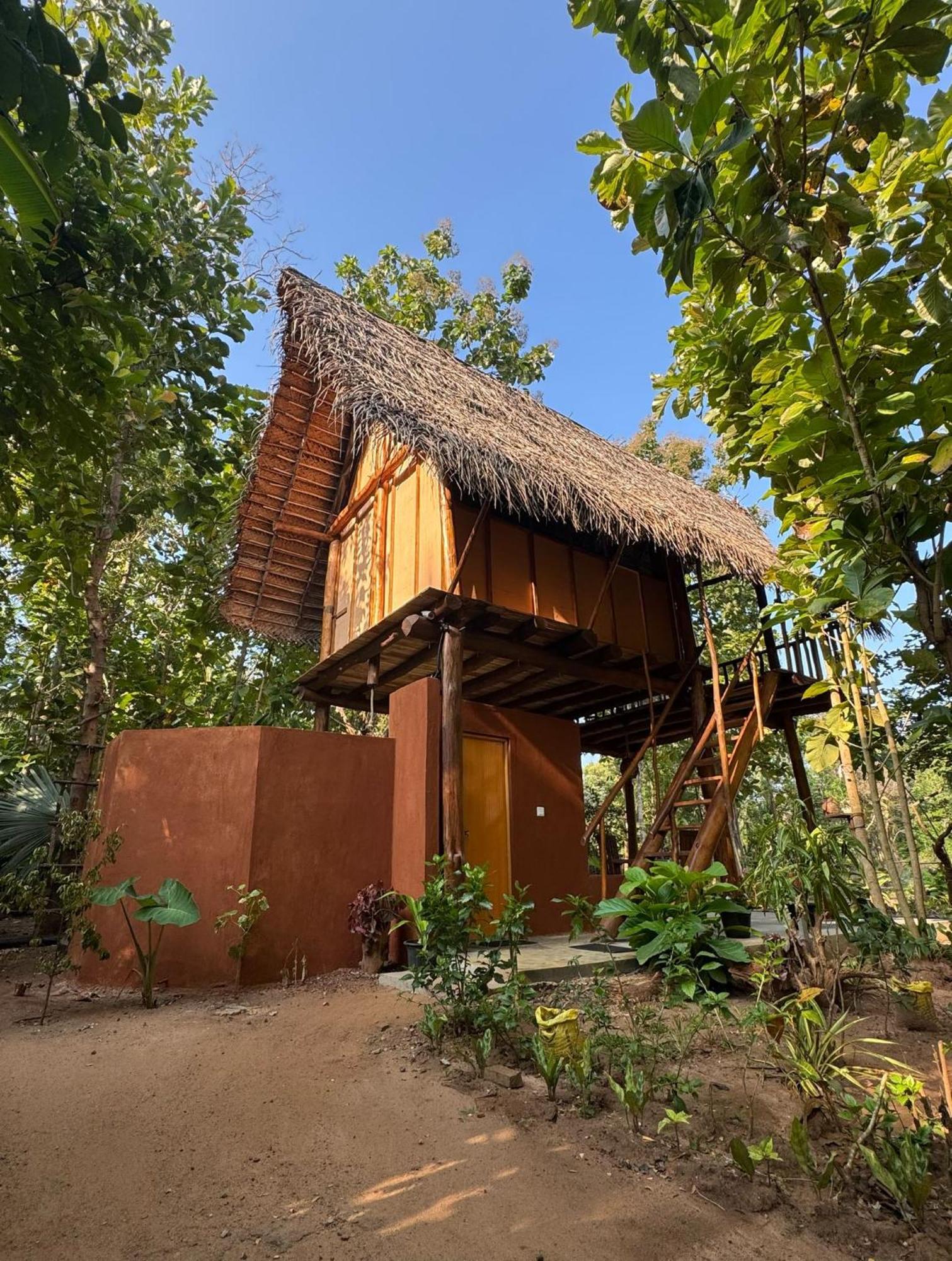 Pidurangala View Treehouse Apartment สิกิริยา ภายนอก รูปภาพ