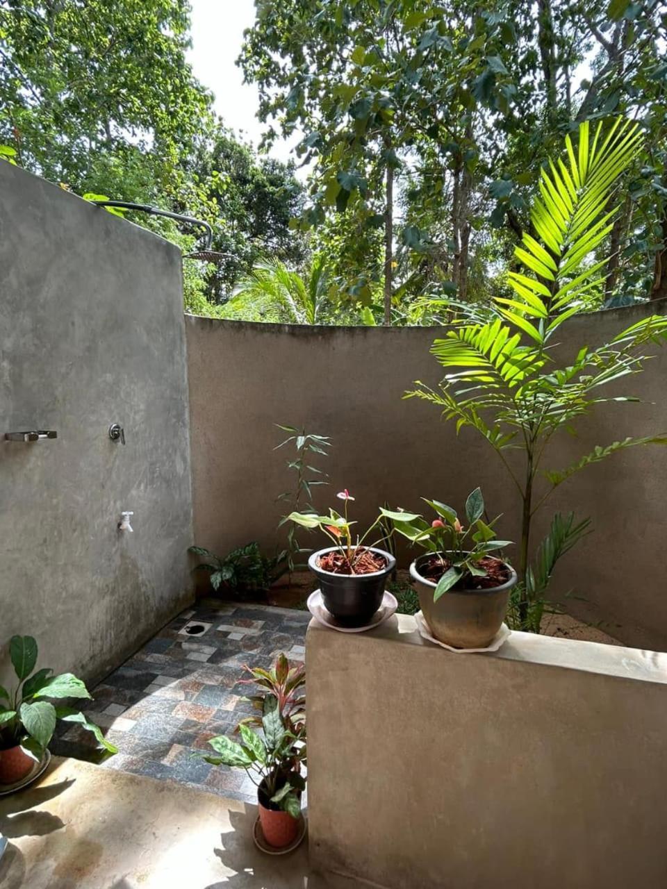 Pidurangala View Treehouse Apartment สิกิริยา ภายนอก รูปภาพ