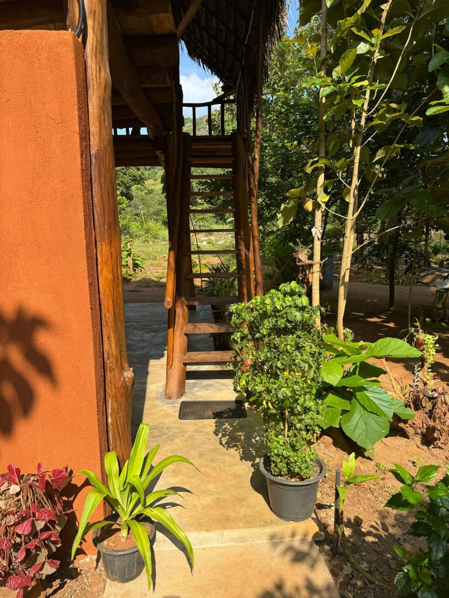 Pidurangala View Treehouse Apartment สิกิริยา ภายนอก รูปภาพ